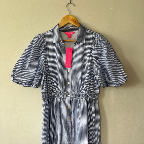 NWT Lilly Pulitzer Tassie Midi Dress Oxford Stripe Coastal Blue Size 6 - Picture 6 of 9